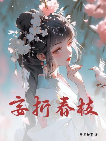 折梅妄惦 折梅妄惦