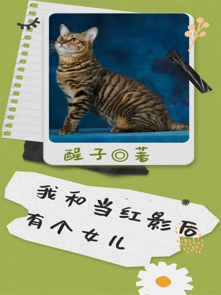 我和当红影后有个女儿免费阅读 我和当红影后有个女儿免费阅读