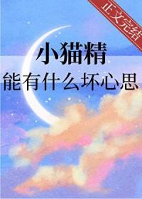 猫精的恐怖图片 猫精的恐怖图片