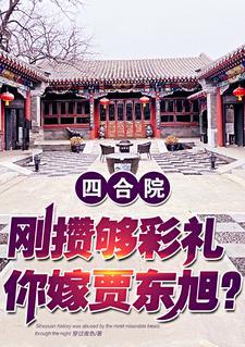 四合院反省 四合院反省