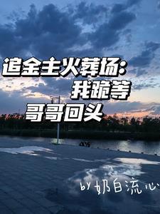追妻火葬场金主受 追妻火葬场金主受
