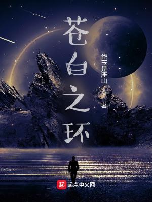 苍白之石在哪里 苍白之石在哪里