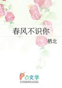春风不识你gl免费阅读