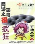 网游之菜鸟很疯狂王石 网游之菜鸟很疯狂王石