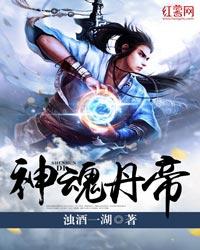神魂丹帝全篇目录 神魂丹帝全篇目录