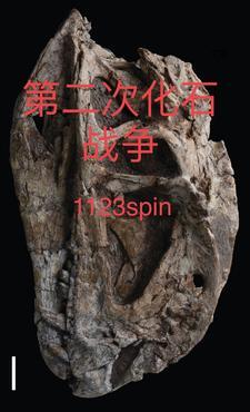第二次化石战争是哪一年 第二次化石战争是哪一年