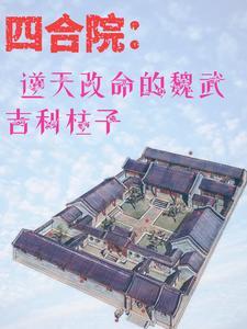 四合院娄晓娥 四合院娄晓娥