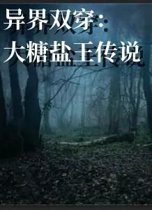 异界双穿大糖盐王传说全文免费阅读 异界双穿大糖盐王传说全文免费阅读