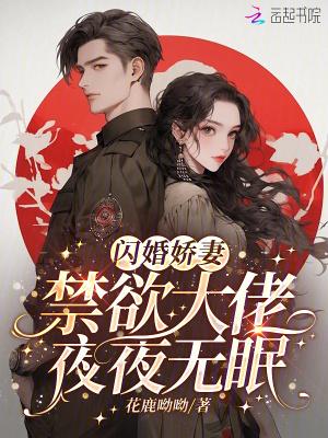 闪婚老公 闪婚老公