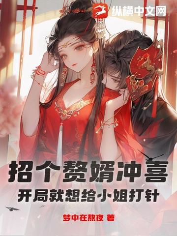 娶了个王爷 娶了个王爷