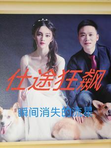 仕途狂飙从基层到封疆大吏 仕途狂飙从基层到封疆大吏