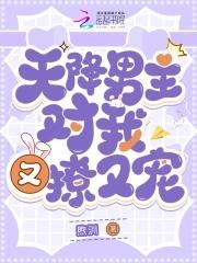 天降男主对我又撩又宠百度 天降男主对我又撩又宠百度