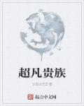 超凡贵族 超凡贵族