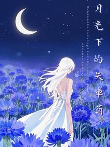 【cn】月光下的矢车菊 【cn】月光下的矢车菊