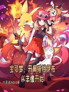 宝可梦:开局搭档伊布从丰缘开始 宝可梦:开局搭档伊布从丰缘开始